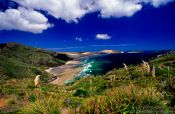 Travel photography:Cape Maria van Diemen with Te Werahi beach, New Zealand