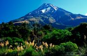 Travel photography:Mt Taranaki, New Zealand