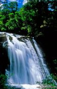 Travel photography:Aniwaniwa waterfall in Te Urewera Ntl Park, New Zealand