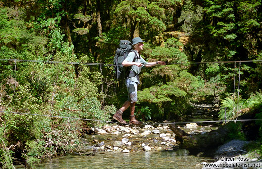 Crossing a 3-wire bridge in Fiordland National Park