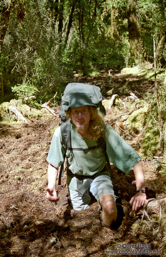 Waste-deep in mud during a dry summer in Fiordland (Dusky track)