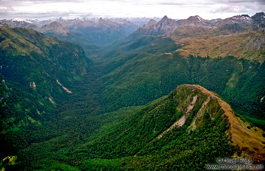 View from Dusky Track