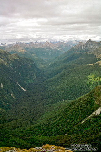 View from Dusky Track