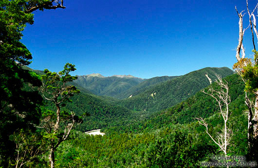 View from Heaphy Track