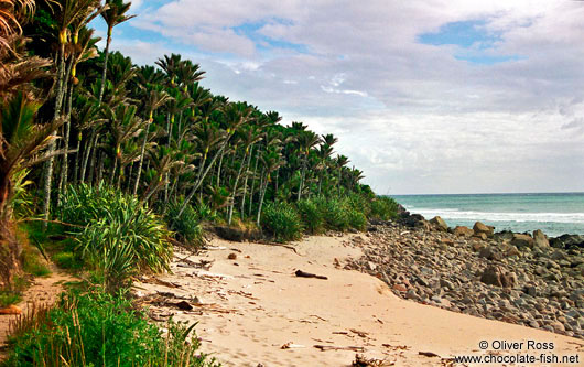 Beach on Heaphy Track