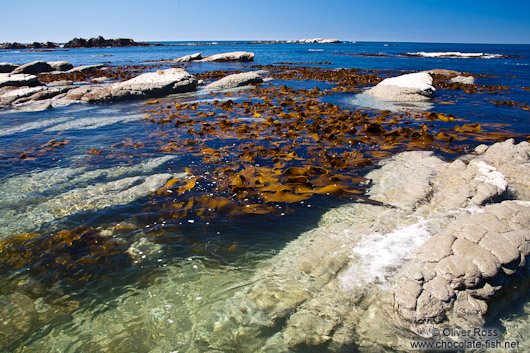 Kaikoura coastline