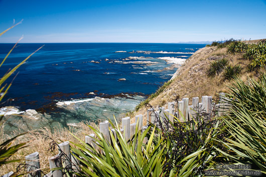 Kaikoura coastline