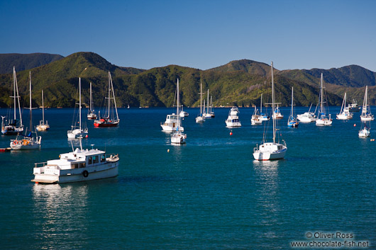 Picton harbour