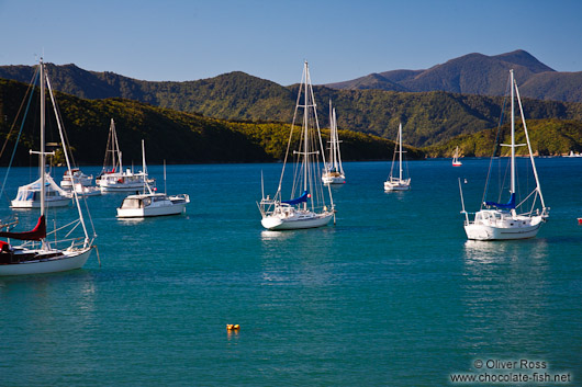 Picton harbour