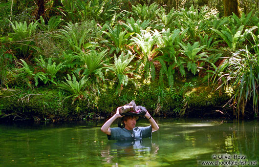 Punakaiki river crossing on the Inland Pack Track