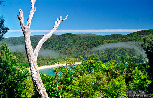 View from the Northern Circuit on Stewart Island