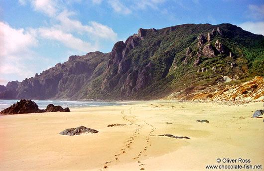 Beach on Stewart Island