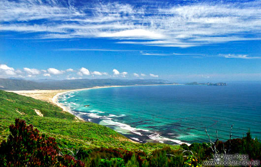 Mason Bay on Stewart Island