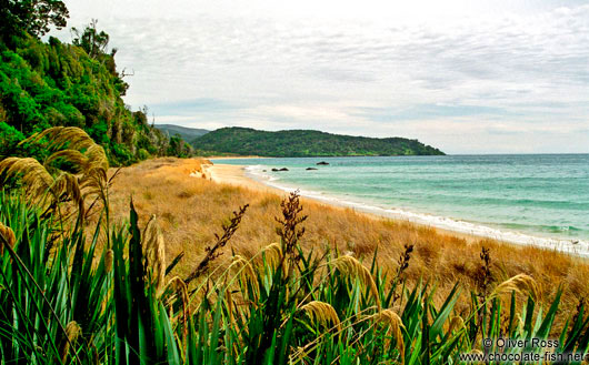 Beach on Stewart Island