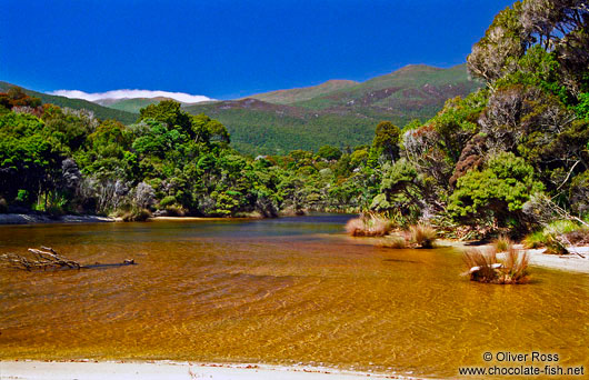 Stewart Island River