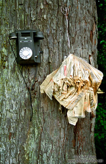 Phone and directory on a tree near Halfmoon Bay on Stewart Island