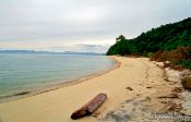 Travel photography:Log on Beach, New Zealand