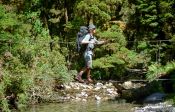 Travel photography:Crossing a 3-wire bridge in Fiordland National Park, New Zealand