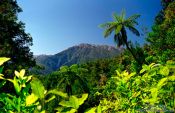 Travel photography:View from Heaphy Track, New Zealand