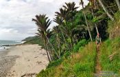 Travel photography:Hiker on the coastal section of the Heaphy track, New Zealand
