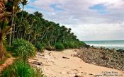 Travel photography:Beach on Heaphy Track, New Zealand