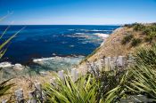 Travel photography:Kaikoura coastline, New Zealand