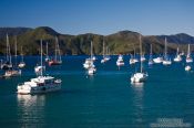 Travel photography:Picton harbour, New Zealand