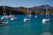 Travel photography:Picton harbour, New Zealand