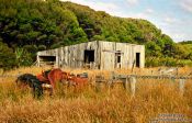 Travel photography:Abandoned Farm on Stewart Island, New Zealand