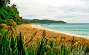 Travel photography:Beach on Stewart Island, New Zealand