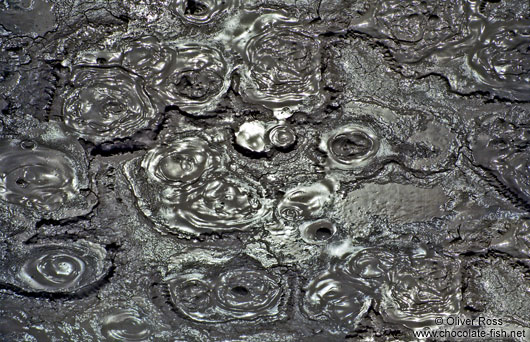 Boiling Mud in Rotorua