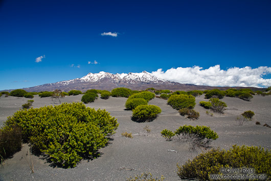 Tongariro National Park from Desert Road