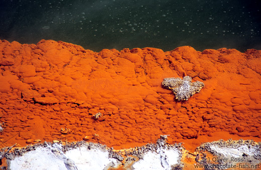 Close-up of the minerals in the Champagne Pool in Waiotapu