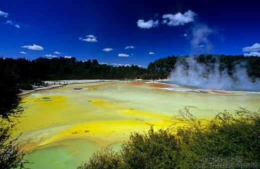 The Waiotapu thermal area