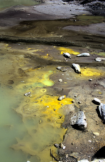 Waiotapu thermal area