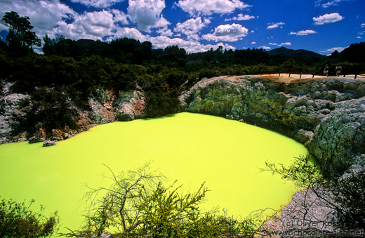 Pool in the Waiotapu thermal area