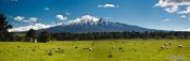 Travel photography:Panoramic view of Mount Ruapehu in Tongariro National Park, New Zealand