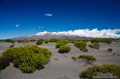 Travel photography:Tongariro National Park from Desert Road, New Zealand