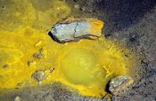 Travel photography:Close-up of a yellow mudpool in the Waiotapu thermal area, New Zealand