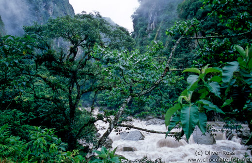 Way from Agua Calientes to Machu Picchu