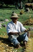 Travel photography:Farmer near Puno, Lake Titikaka, Peru
