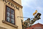 Travel photography:Golden Lamb outside a Bratislava museum, Slovakia