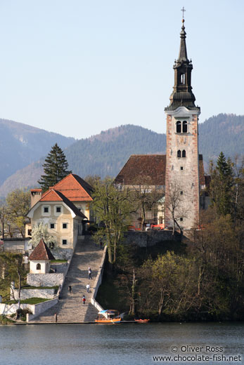 Island with church and staircase within Blejsko jezero (Bled lake)