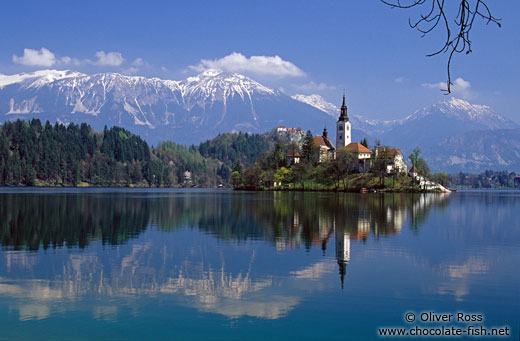 Island with church and Bled Castle reflected in Blejsko jezero (Bled lake) with the Slovenian Alps in the background