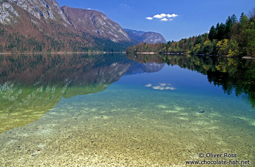 Reflections in Bohinjsko lake