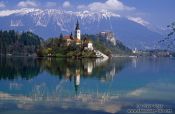 Travel photography:Island with church and Bled Castle reflected in Blejsko jezero (Bled lake) with the Slovenian Alps in the background, Slovenia