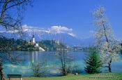 Travel photography:View of island and Bled Castle with Blejsko jezero (Bled lake) and the Slovenian Alps in the background, Slovenia
