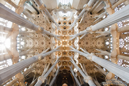 Barcelona Sagrada Familia ceilling 180° panorama