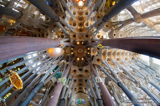 Barcelona Sagrada Familia ceilling
