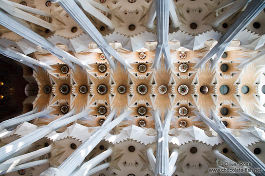 Barcelona Sagrada Familia ceilling